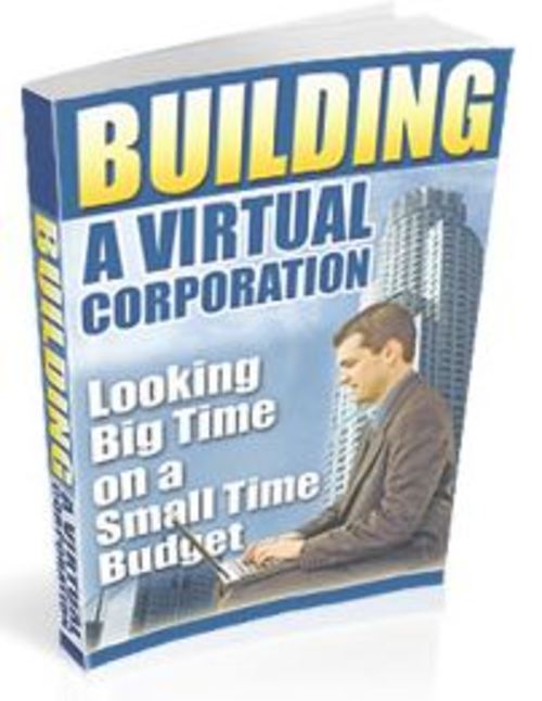 Product picture Building a Virtual Corporation as your internet Business